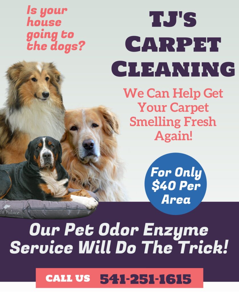 Your Gold Beach Oregon Carpet Cleaning Service